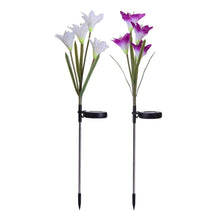 Solar lily flower stake lights, outdoor setup at night